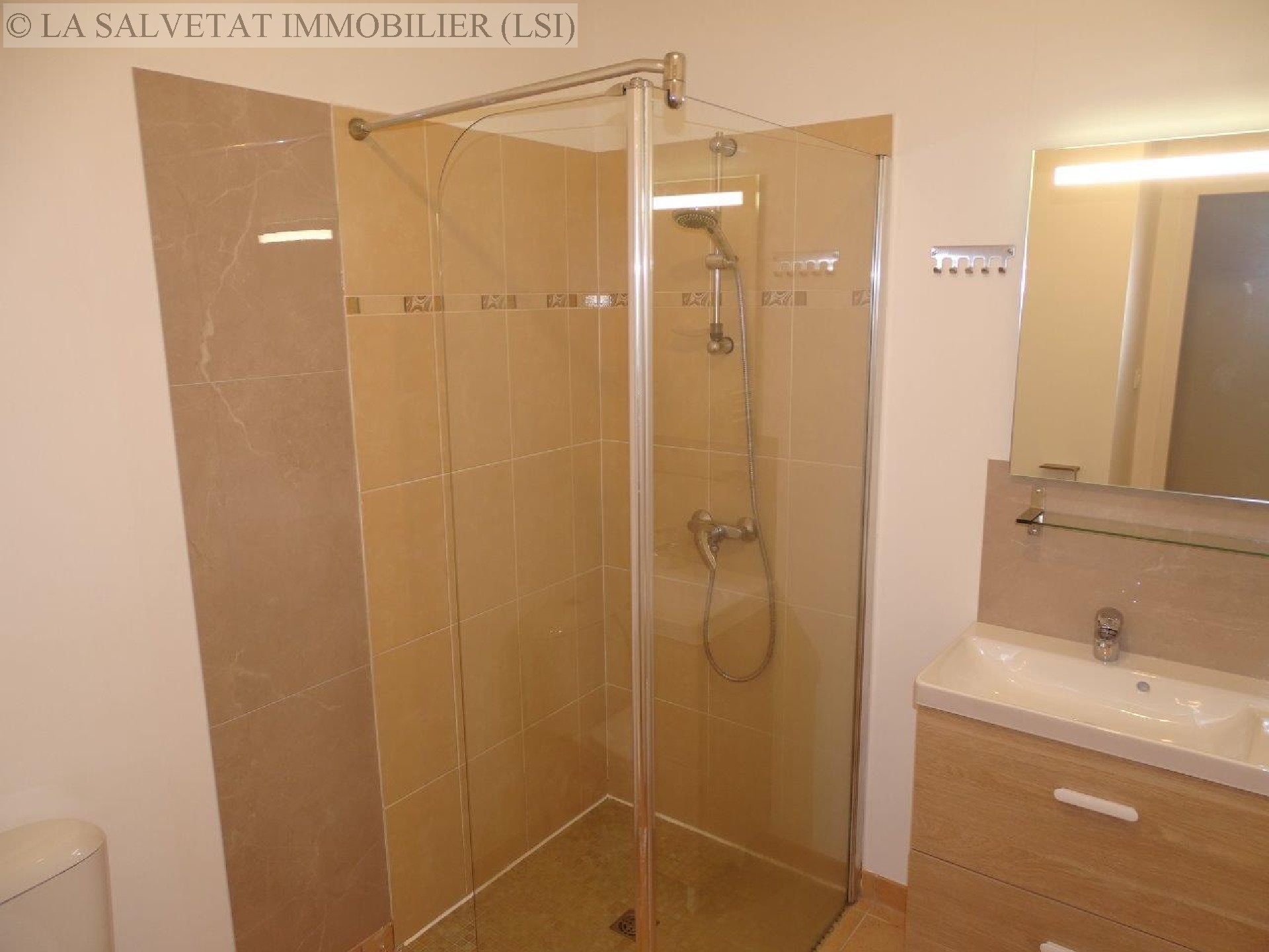 Location appartement - LA SALVETAT ST GILLES<br>41,77 m², 2 pièces