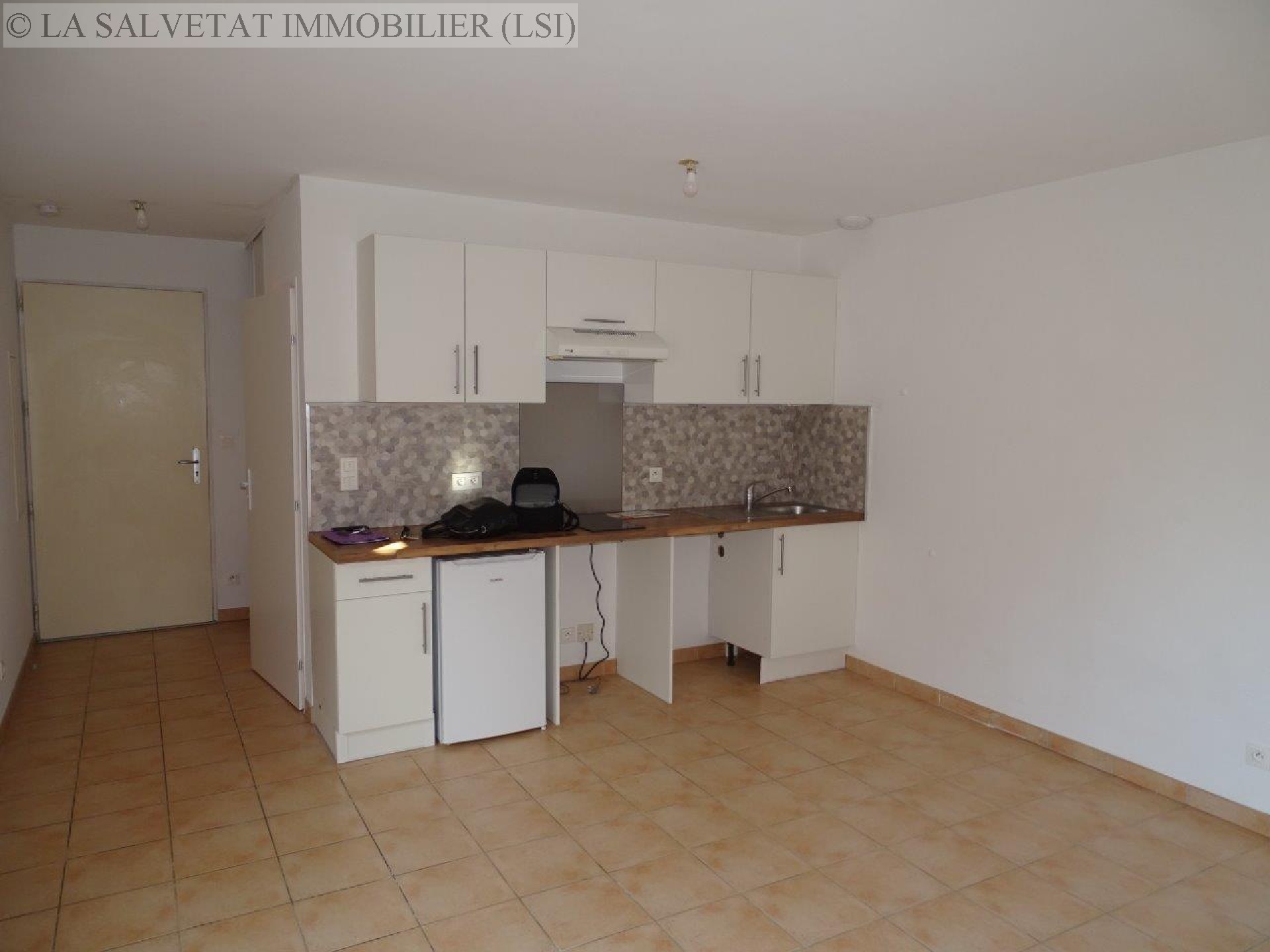 Location appartement - LA SALVETAT ST GILLES<br>41,77 m², 2 pièces