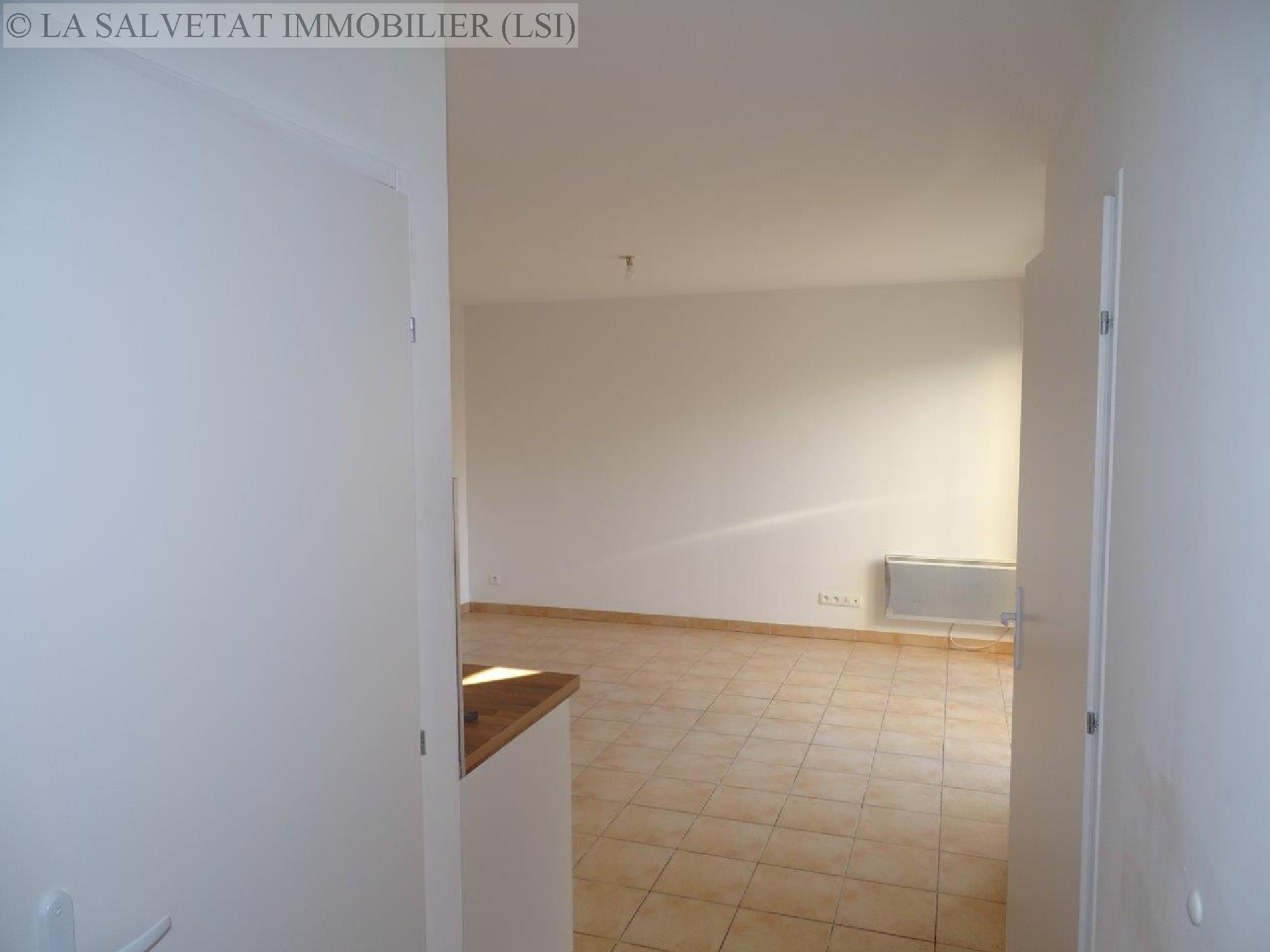 Location appartement - LA SALVETAT ST GILLES<br>41,77 m², 2 pièces