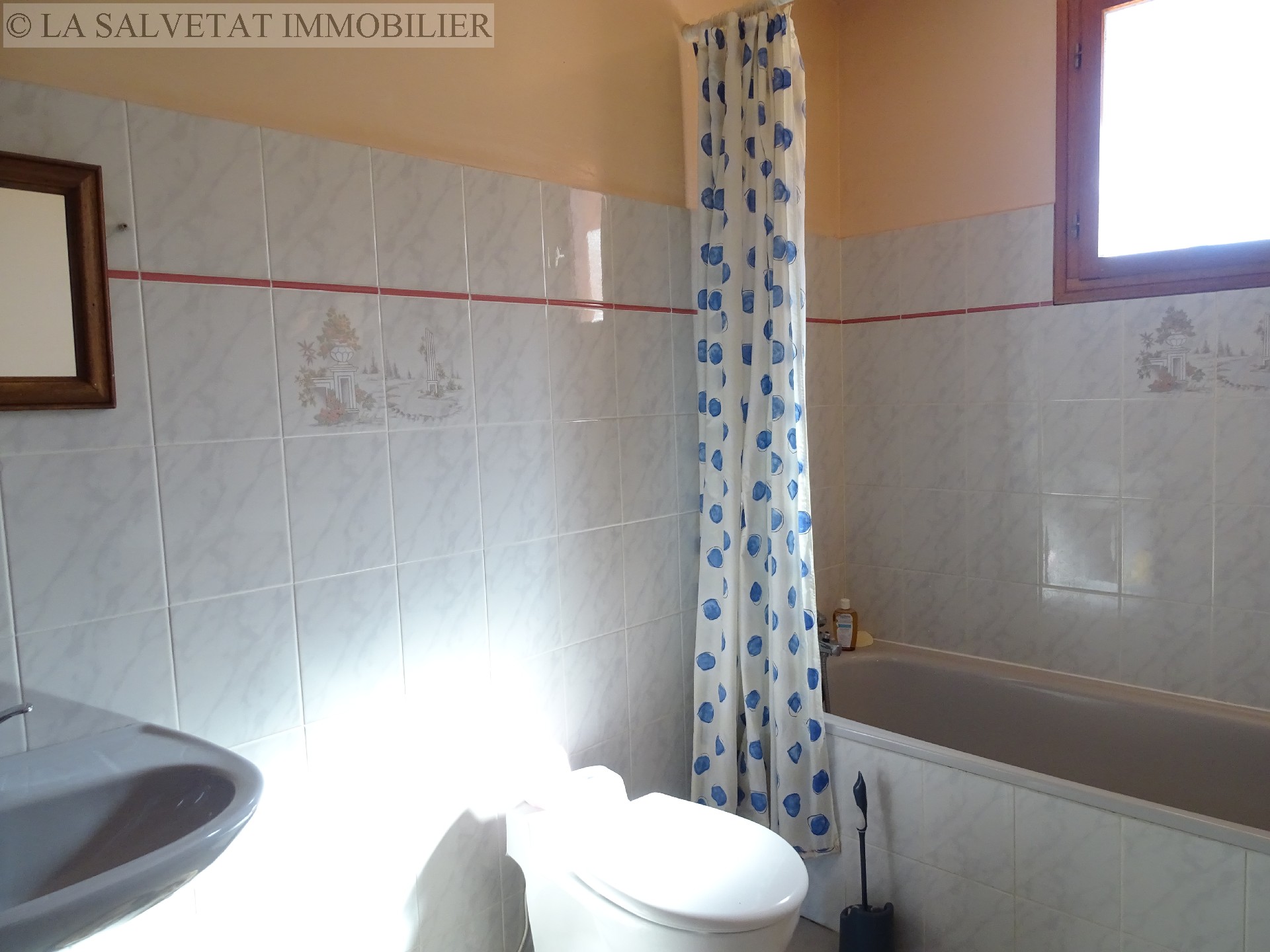Vente maison-villa - LA SALVETAT SAINT-GILLES<br>130 m², 5 pièces