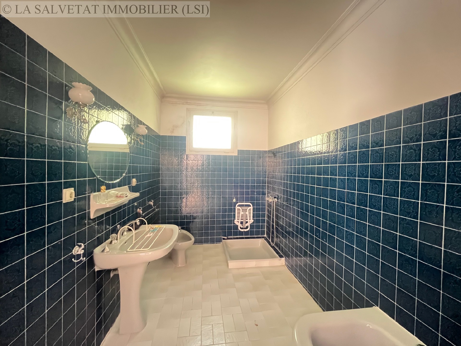 Vente maison-villa - LA SALVETAT ST GILLES<br>170 m², 5 pièces