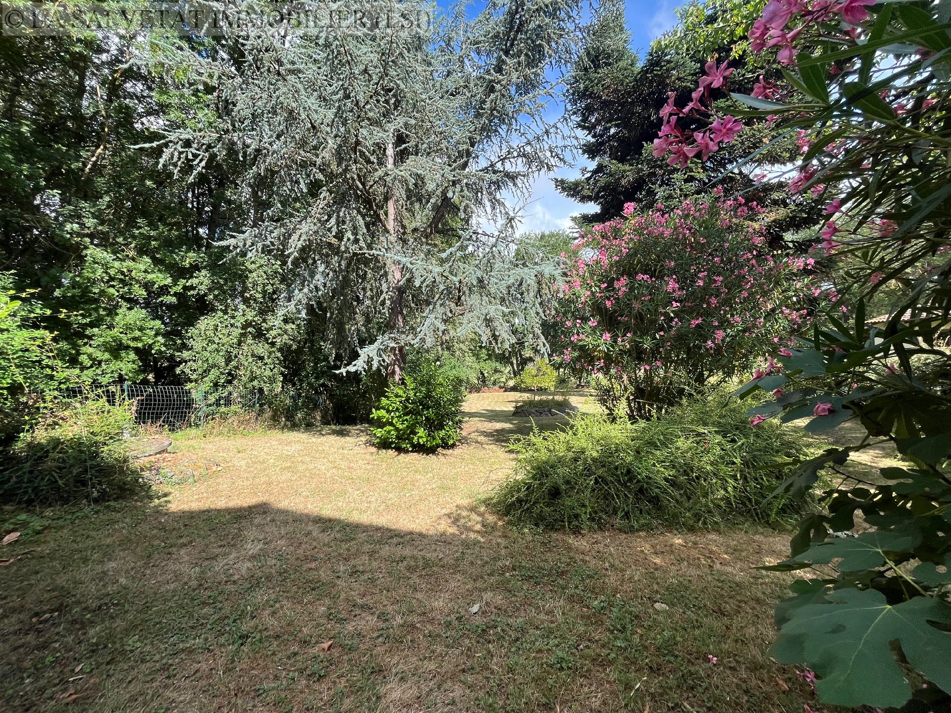 Vente maison-villa - LA SALVETAT ST GILLES<br>170 m², 5 pièces