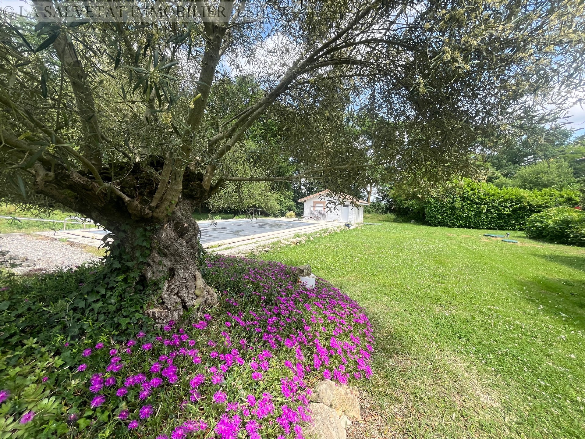 Vente maison-villa - LIAS<br>240 m², 7 pièces