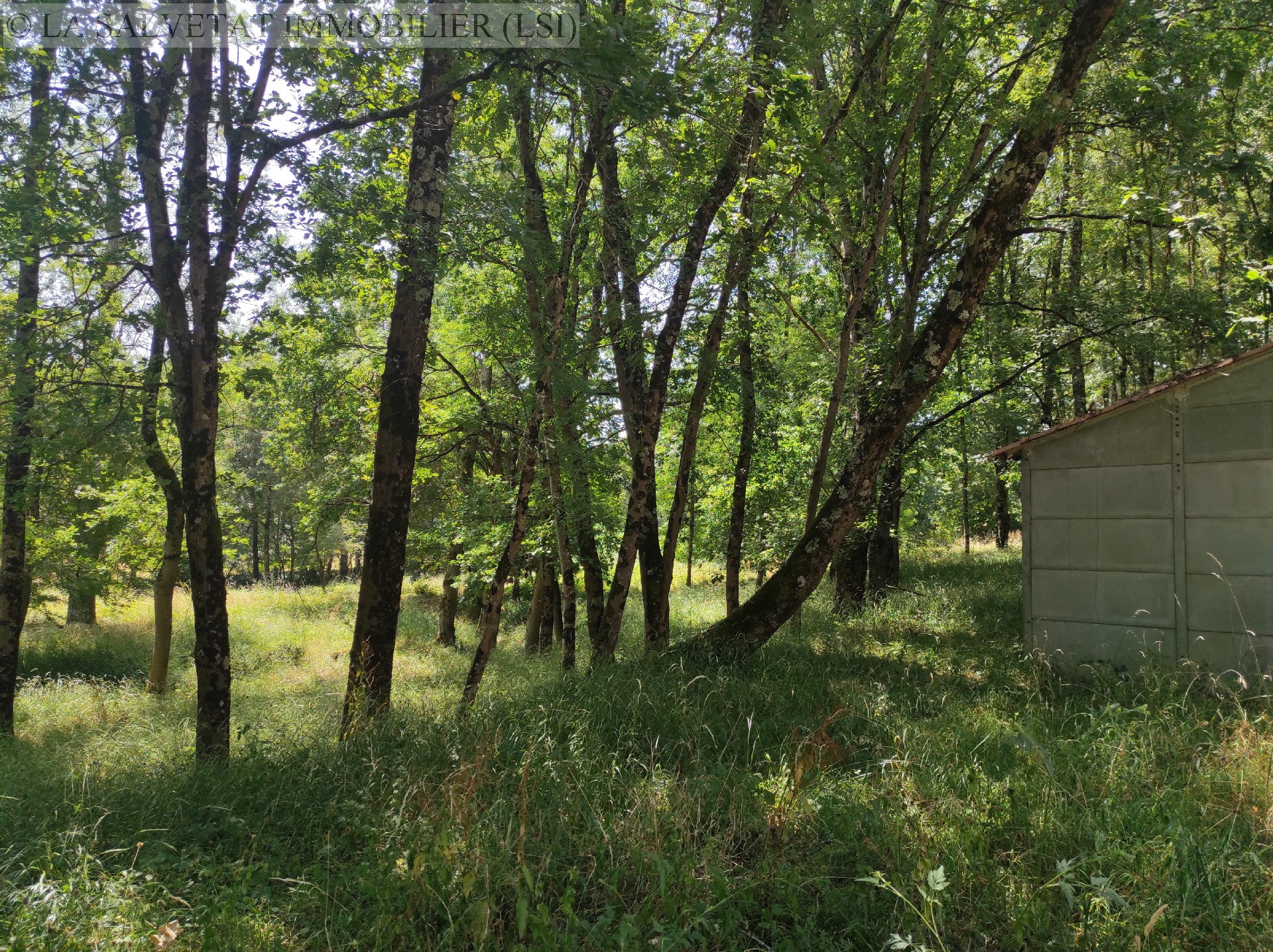 Vente terrain - FONTENILLES<br>6500 m&sup2;, terrain de 6500 m&sup2;