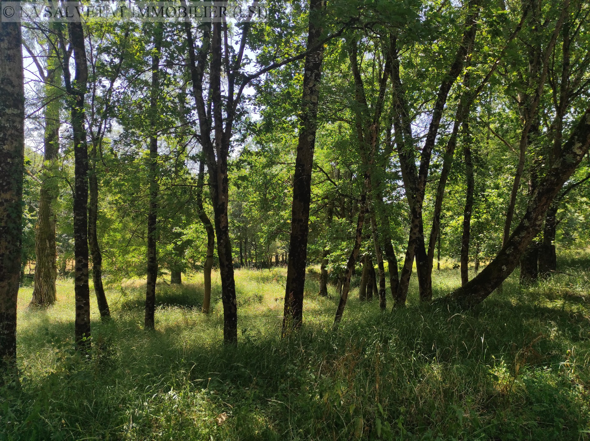 Vente terrain - FONTENILLES<br>6500 m&sup2;, terrain de 6500 m&sup2;