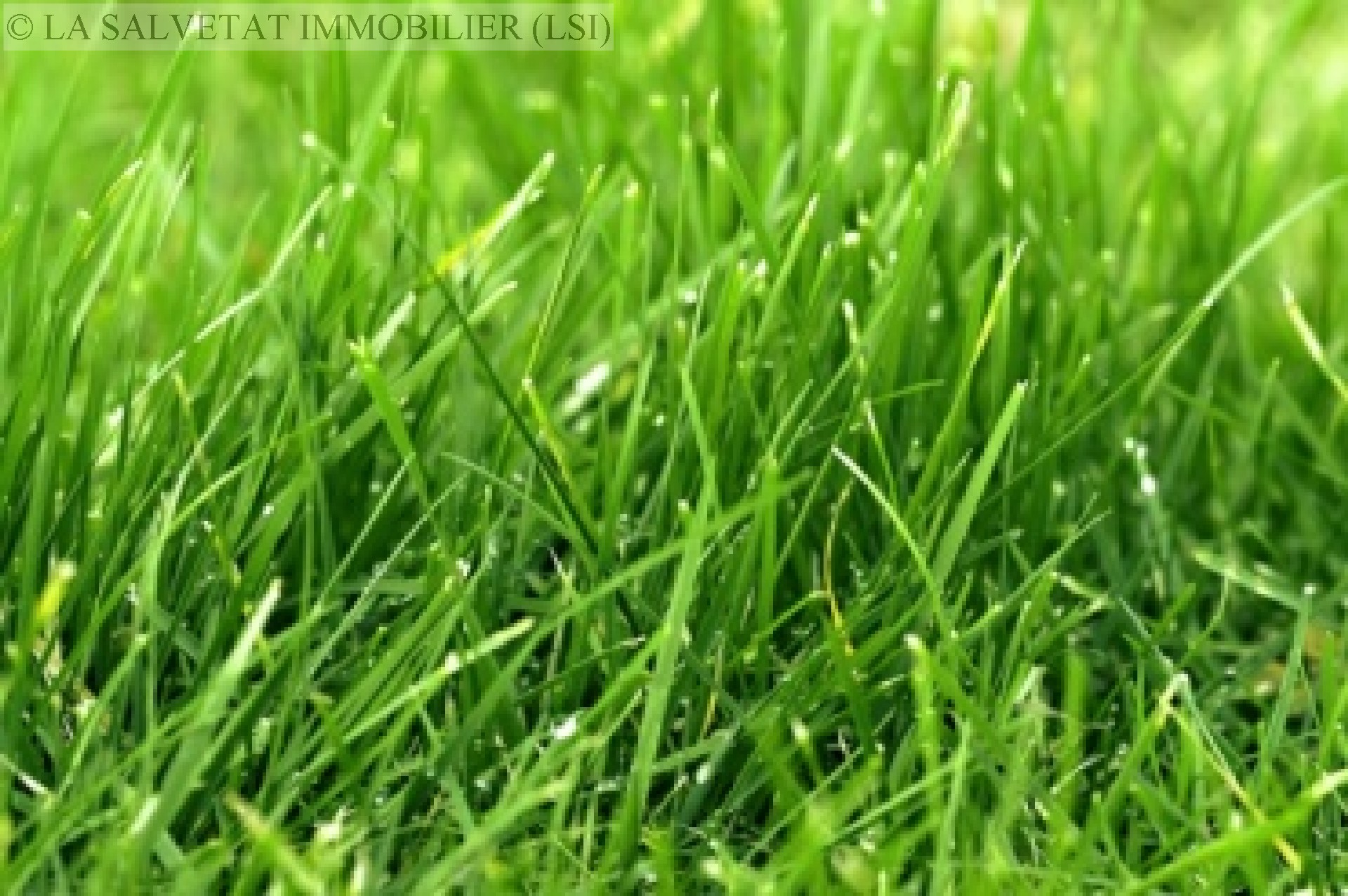 Vente terrain - LA SALVETAT ST GILLES<br>572 m&sup2;, terrain de 572 m&sup2;