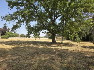 vente terrain TOURNEFEUILLE pieces, 1200m2